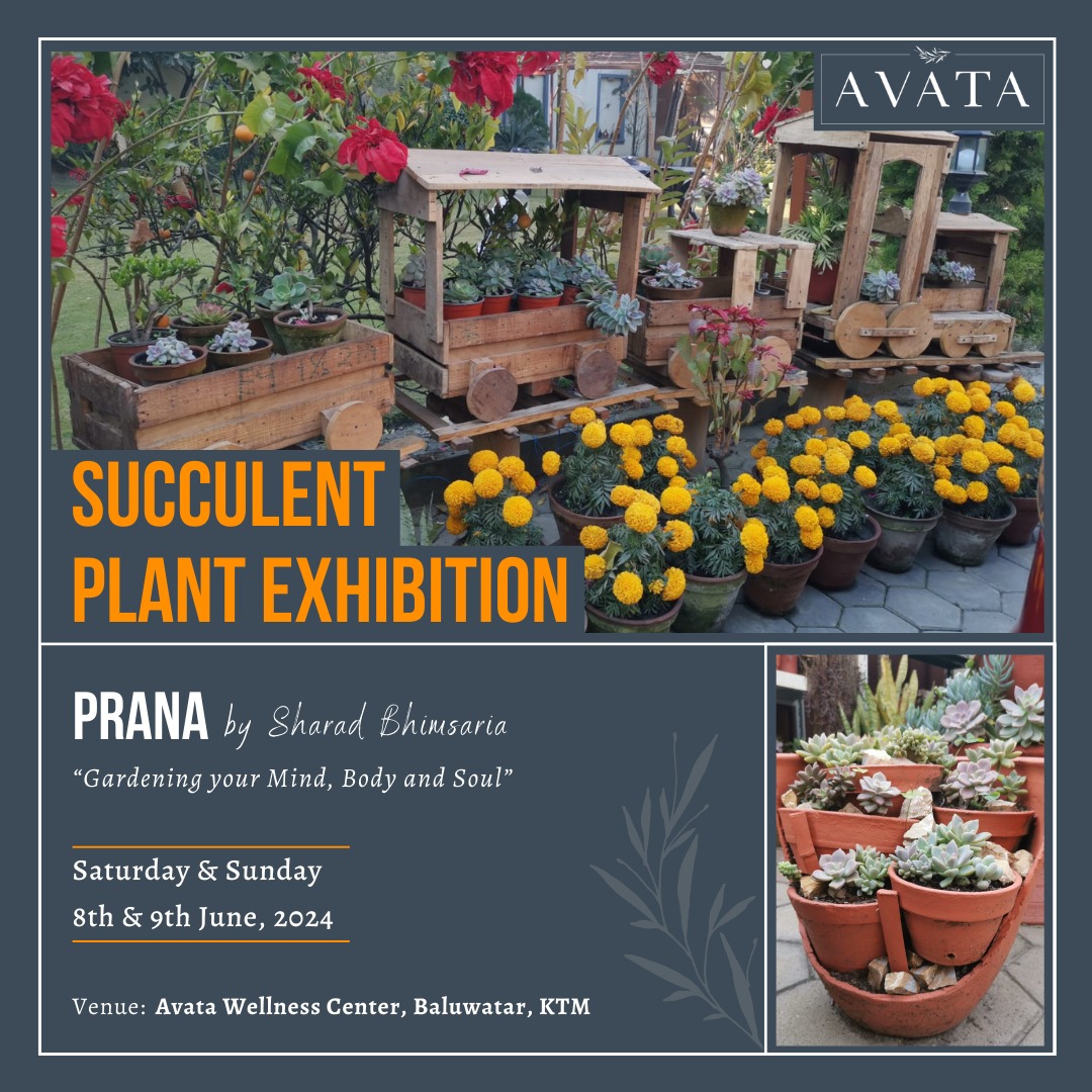 Succulent Plant Exhibition