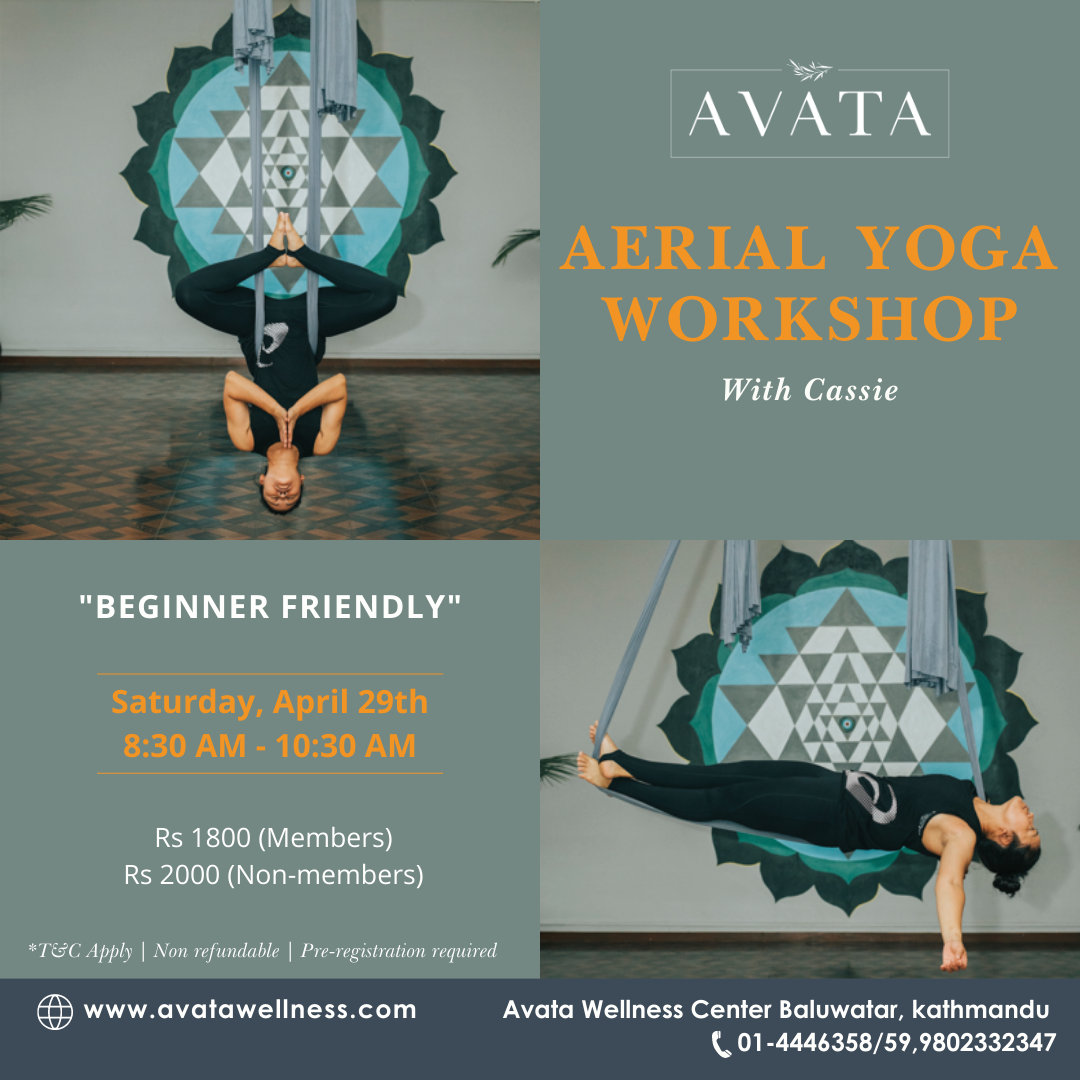 Aerial Yoga Workshop- Privately Available
