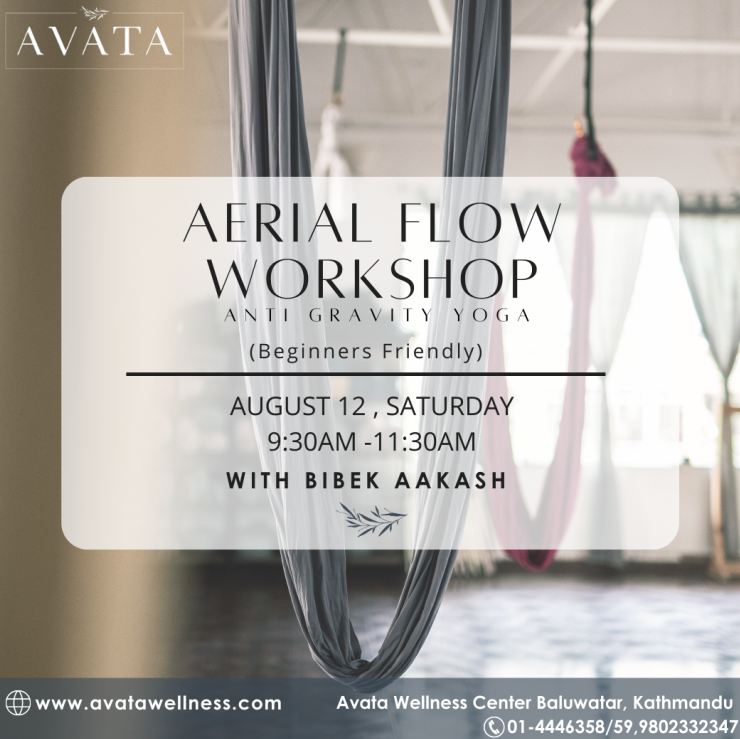 Aerial Flow Workshop- Privately Available