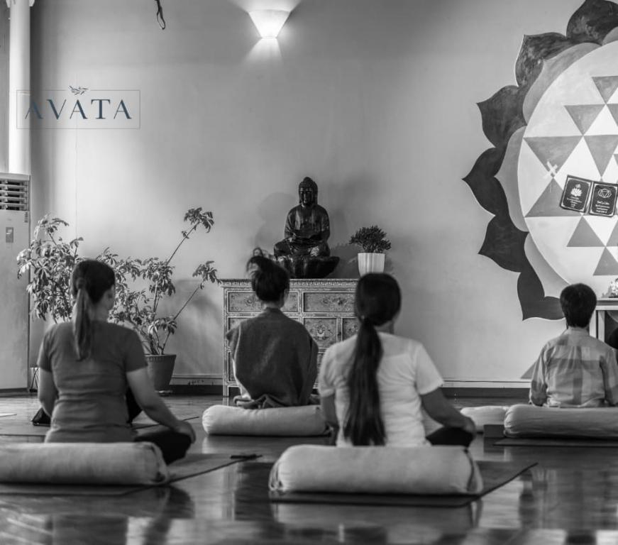Gentle Hatha Yoga