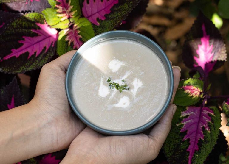 Mushroom Soup