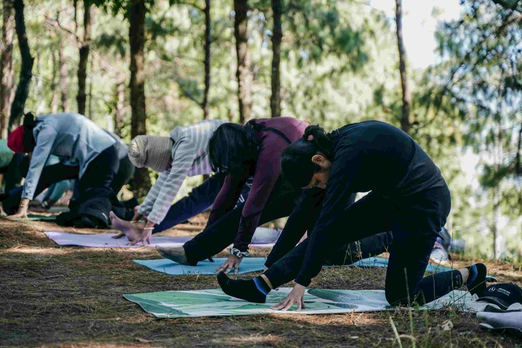 Yoga Hike with Navin: Guided Yoga after a Hike