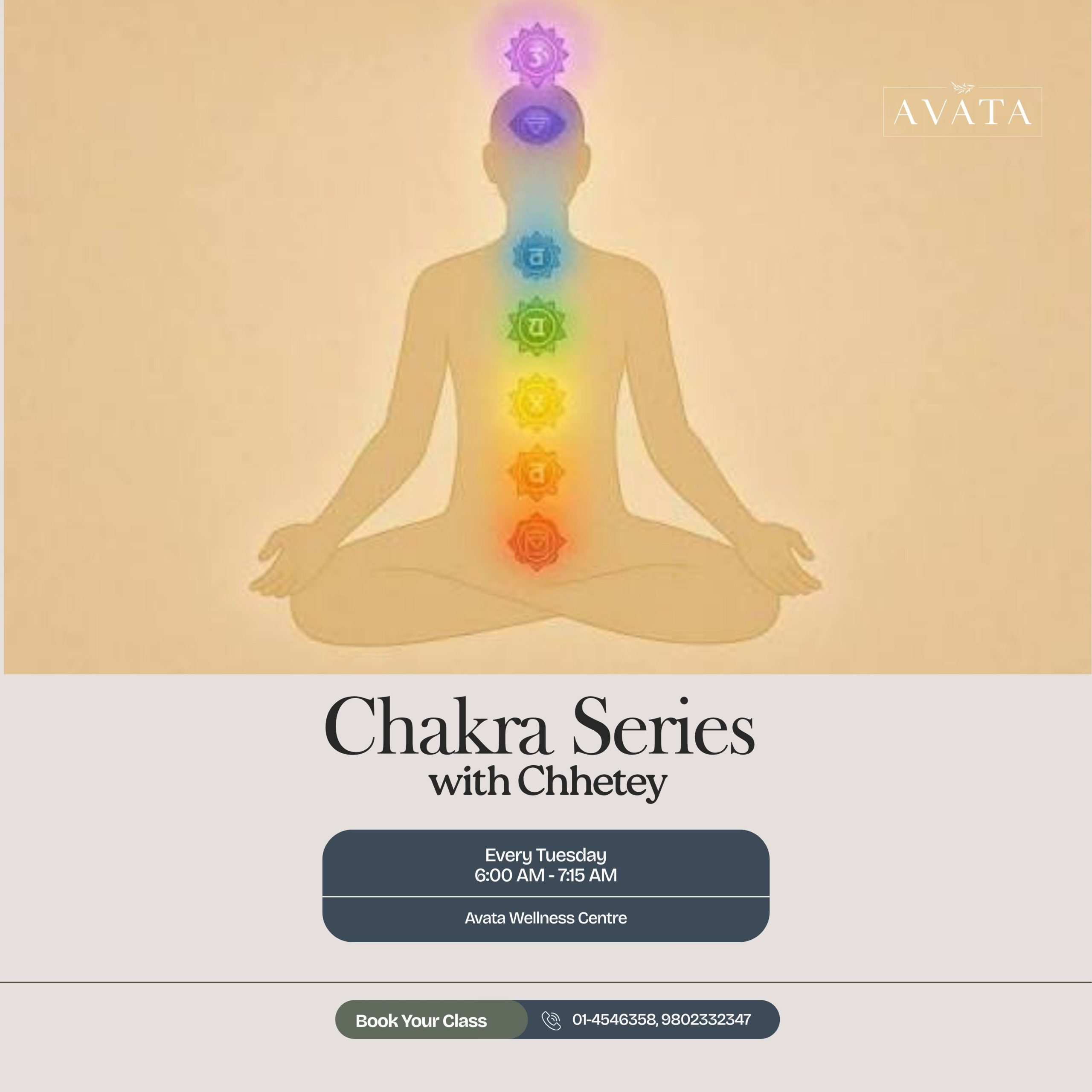 Chakra Series Session